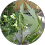 jettamind Google profile photo